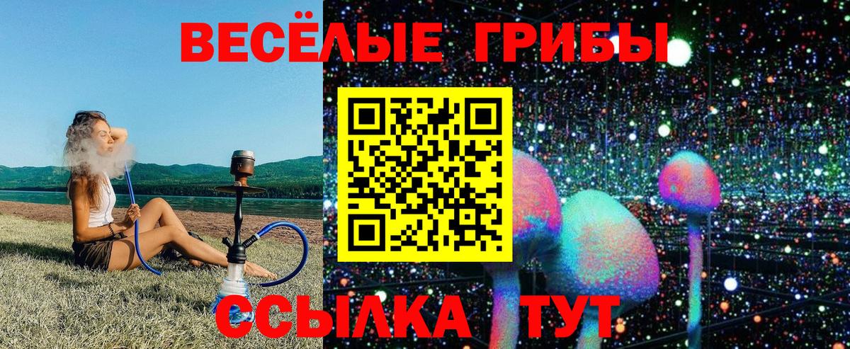 Кушва  Псилоцибиновые грибы Psilocybe  Вход с VPN  Псилоцибиновые грибы прущие грибы 
