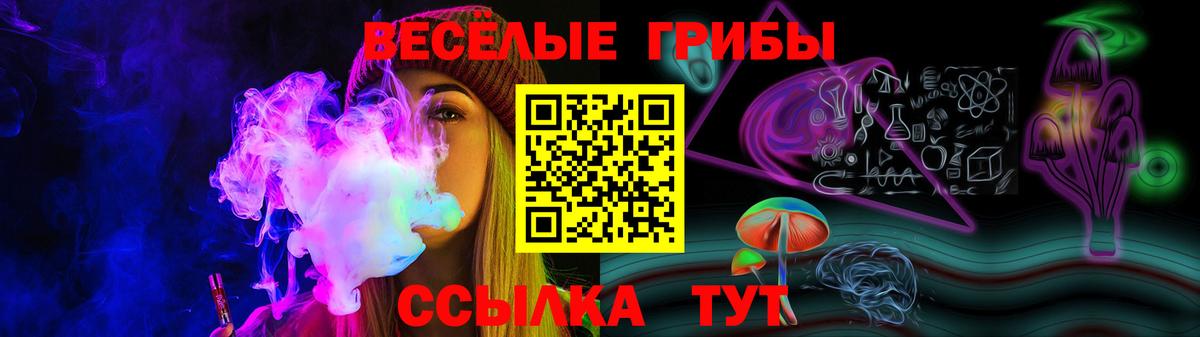 Псилоцибиновые грибы Psilocybe Кушва